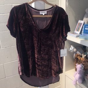 Bella Dahl Velvet Short Sleeve Top - Size S - NEW!